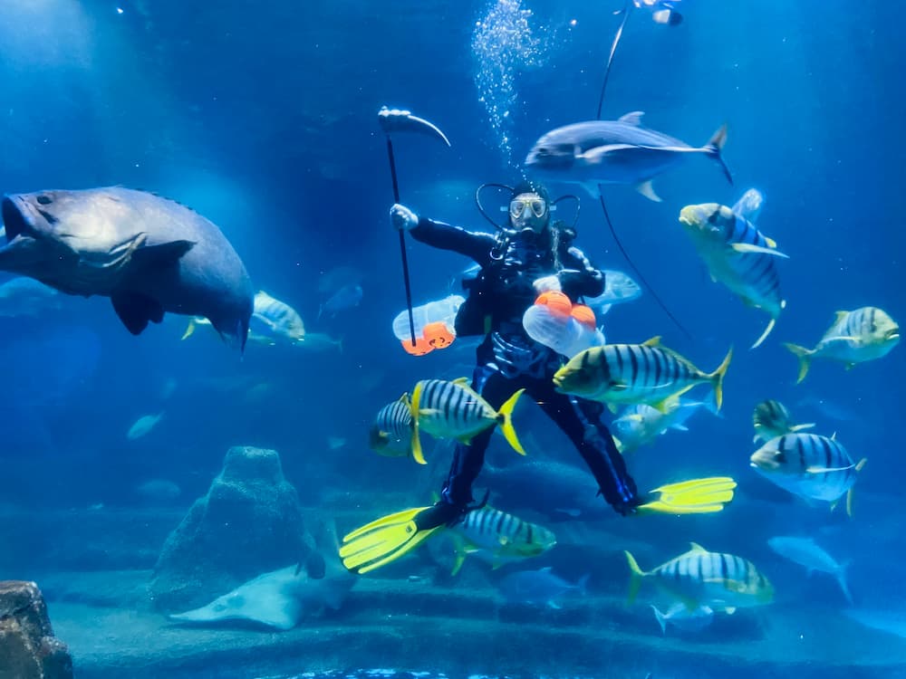遠雄海洋公園-每日二場「萬聖骷髏MAN餵食秀」