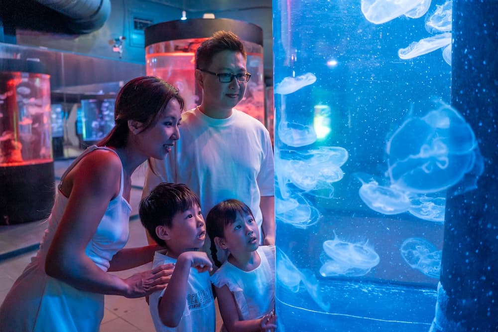 遠雄海洋公園_軍人本人免費，親友同行享優惠