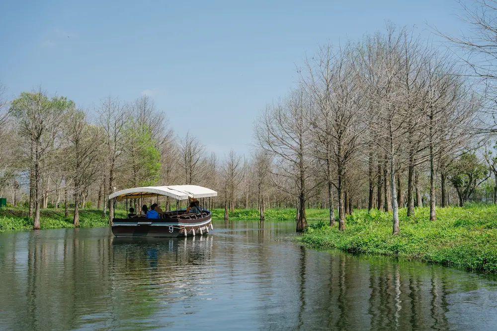 旅人可在理想PAARK水岸生活開啟森光遊湖體驗，搭乘小船穿梭於錯落的綠意與光影間，感受水岸建築與縱谷平原共生的靜謐氣息。