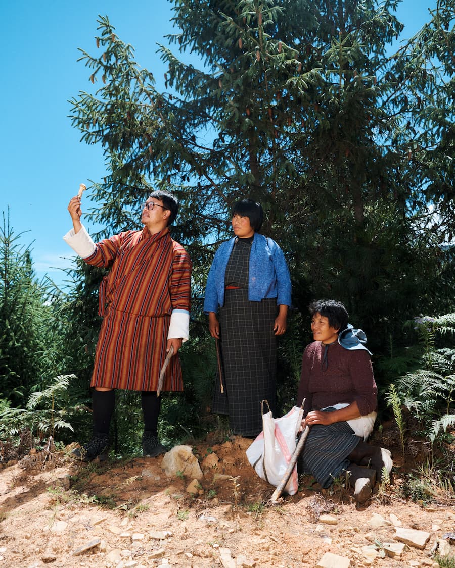 2026不丹旅遊，不丹的松茸